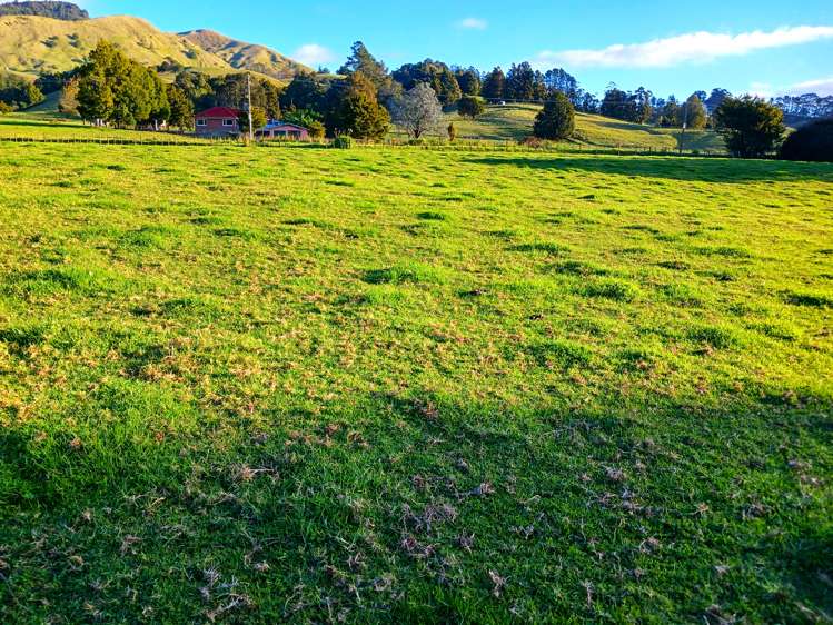 92 Takahue Saddle Road Takahue_41