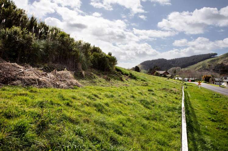 90 Riverside Road Whataupoko_6