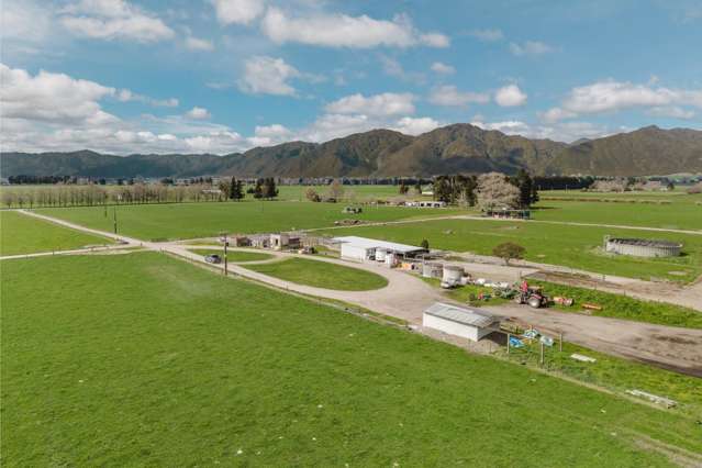 Prime dairy opportunity in Galatea on three titles