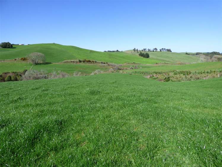 546 Ngutunui Road Otorohanga_24