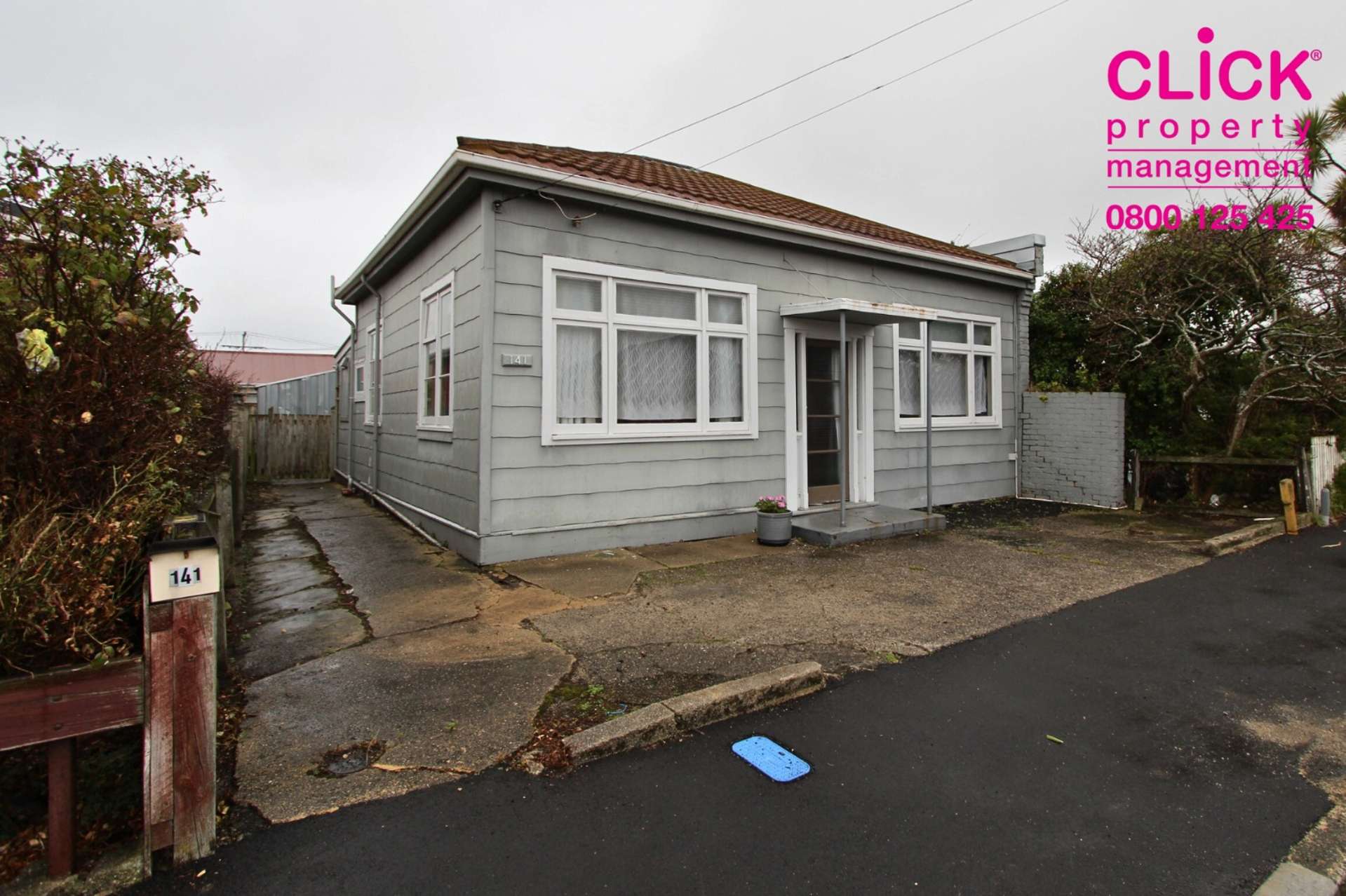 141 Melbourne Street South Dunedin_0