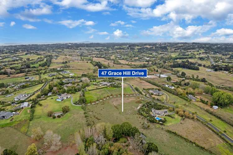 47 Grace Hill Drive Dairy Flat_4