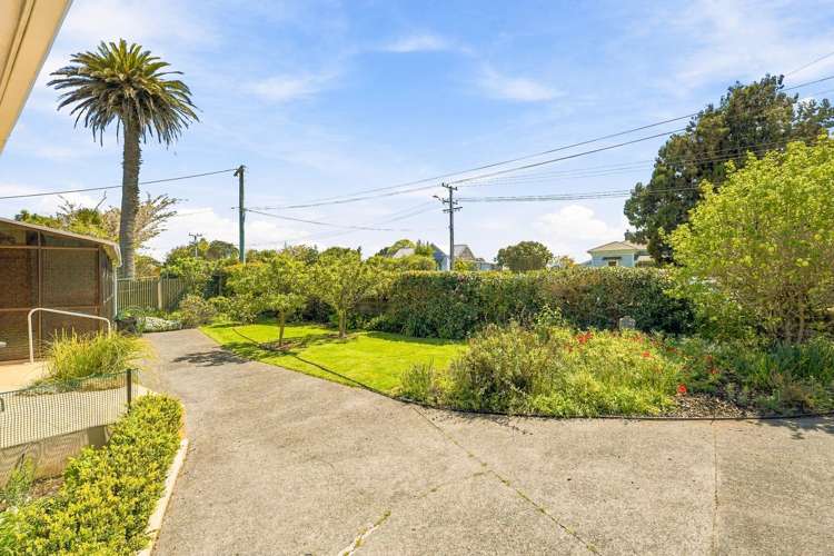 3 Brassey Street Waverley_21