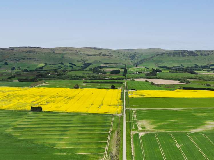 130 Warr Road Balfour_22