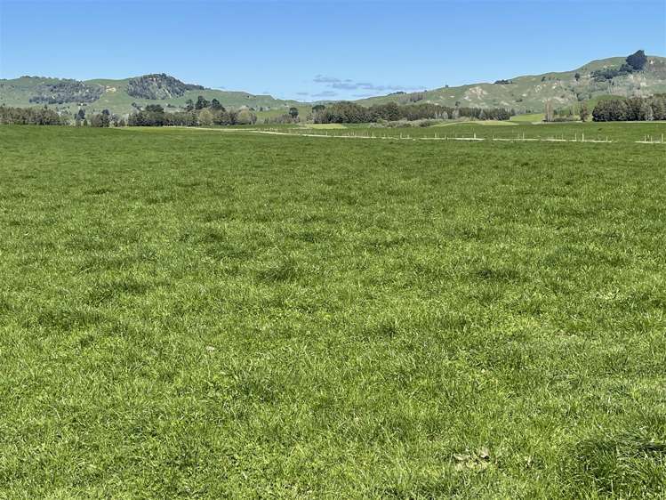 135 Whataroa Road Te Kuiti_29