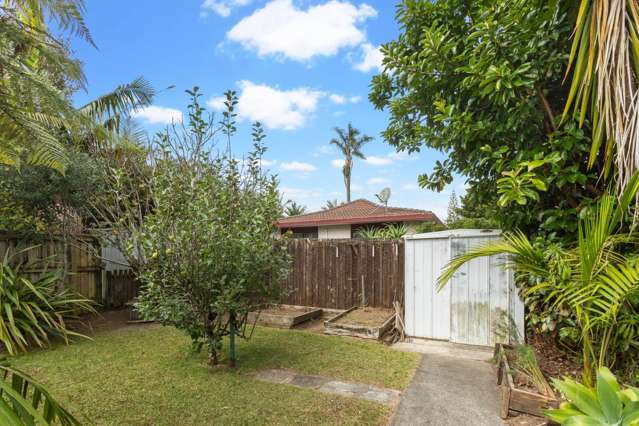 6 Palm Court Drive Glen Eden_3