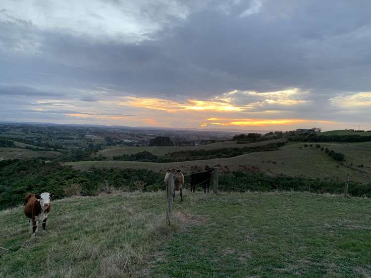 490 Ararimu Road Ramarama_21