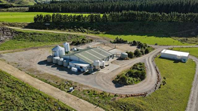 108 Klondyke Terrace Mayfield_2