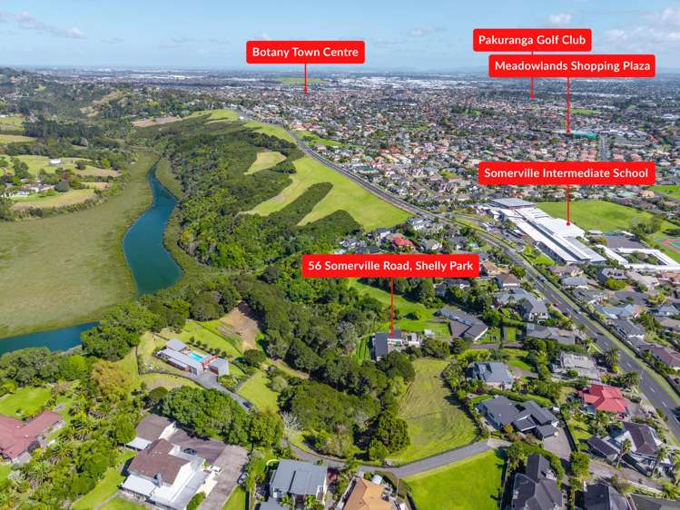 56 Somerville Road_5