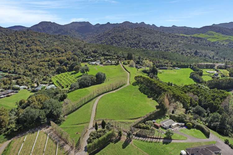 Thompsons Track Aongatete_10