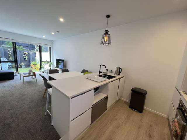 3/5 Arron Street Ellerslie_3