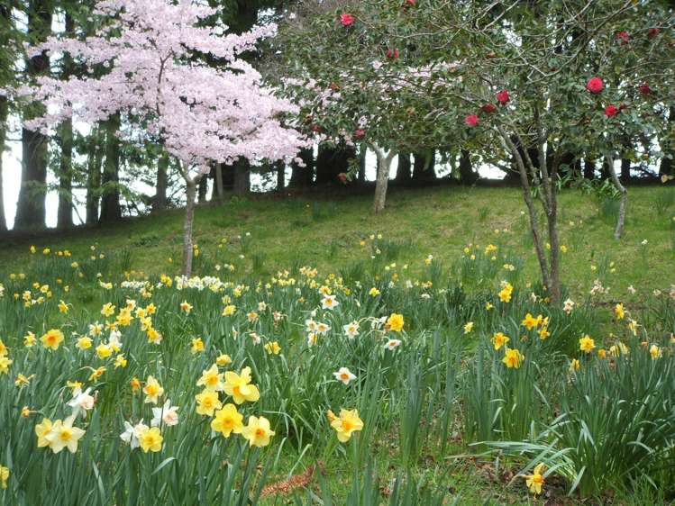 2938 Puketitiri Road Central Hawkes Bay Coastal_6