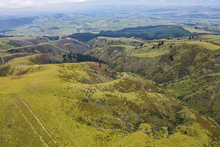 Mcintosh Road Geraldine_17