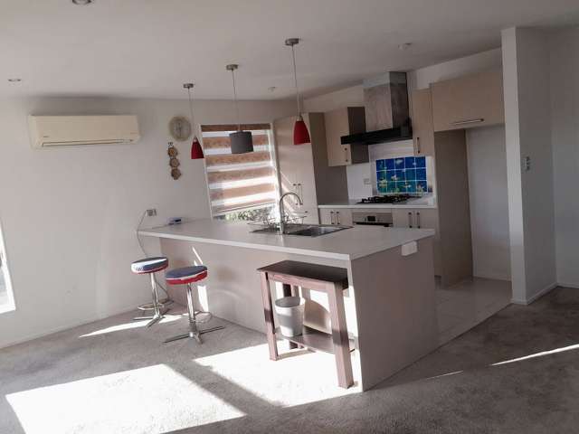 36A Seymour Street Hornby_4