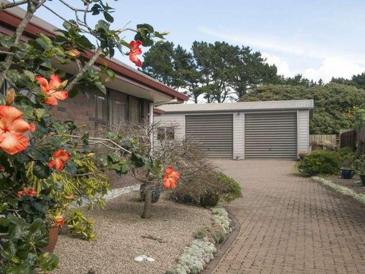 46 The Crescent Waihi Beach_19