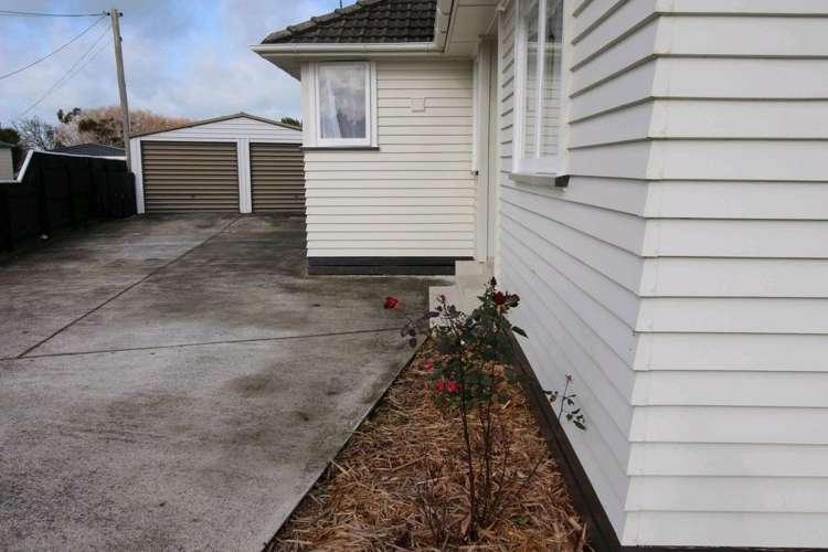 20 Ward Street Bulls_19