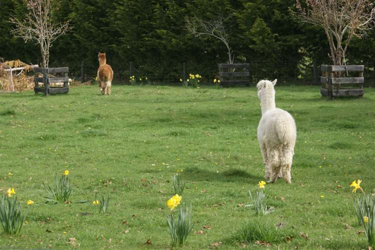 282 Sinclair Road Te Anau_22