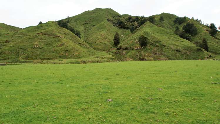 450 Ramaroa Road Aria_14