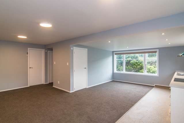 45 Waikowhai Street Ngaio_2