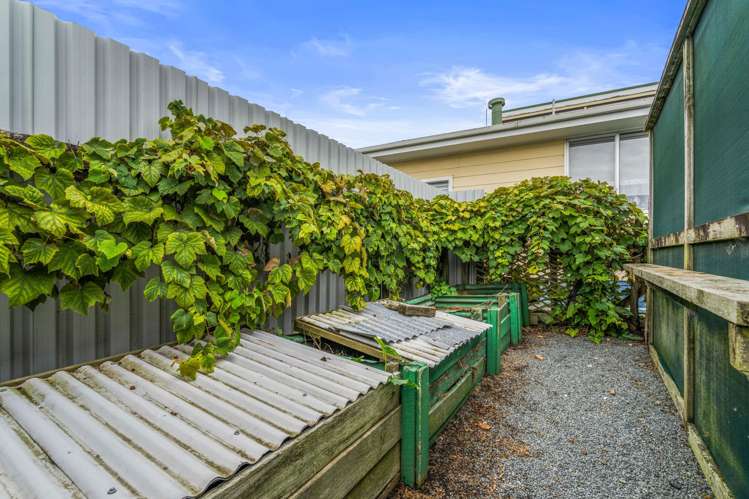 13 Jellicoe Road Ruawai_24