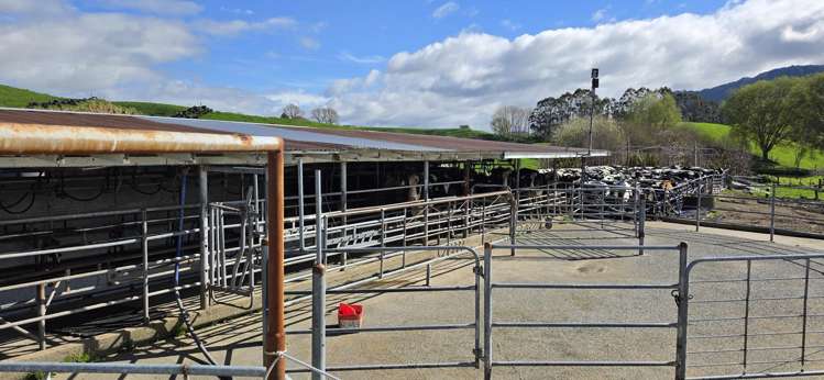 128 Waikaukau Road Ngakuru_9