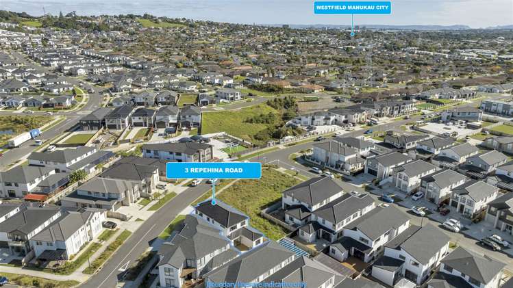 3 Repehina Road Flat Bush_19