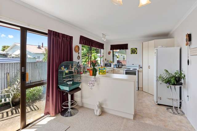 98a Winchester Street Levin_2