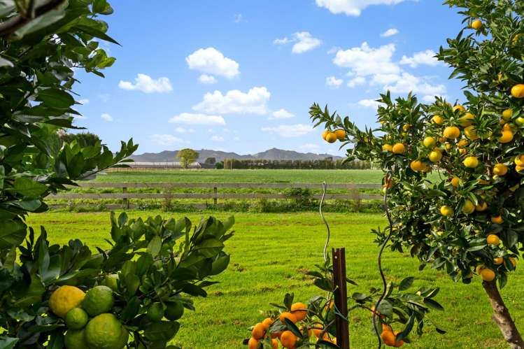 385 Bushmere Road Hexton_13