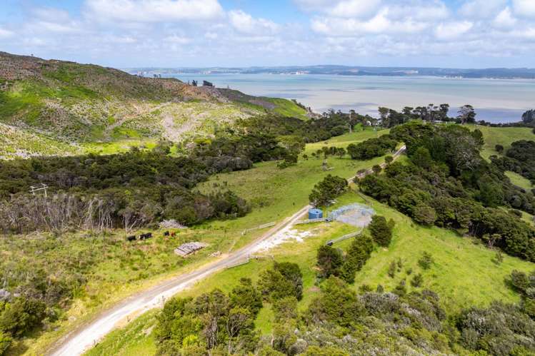 167 Summer Road Tinopai_27