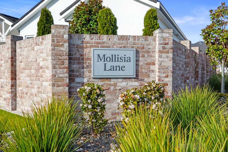 5 Mollisia Lane Papamoa_27