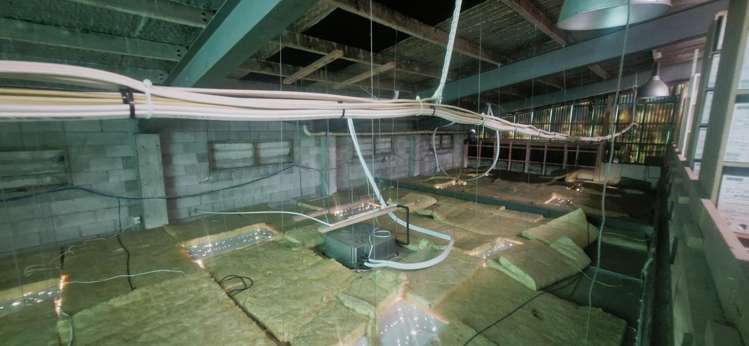 21 Canada Street Morrinsville_8