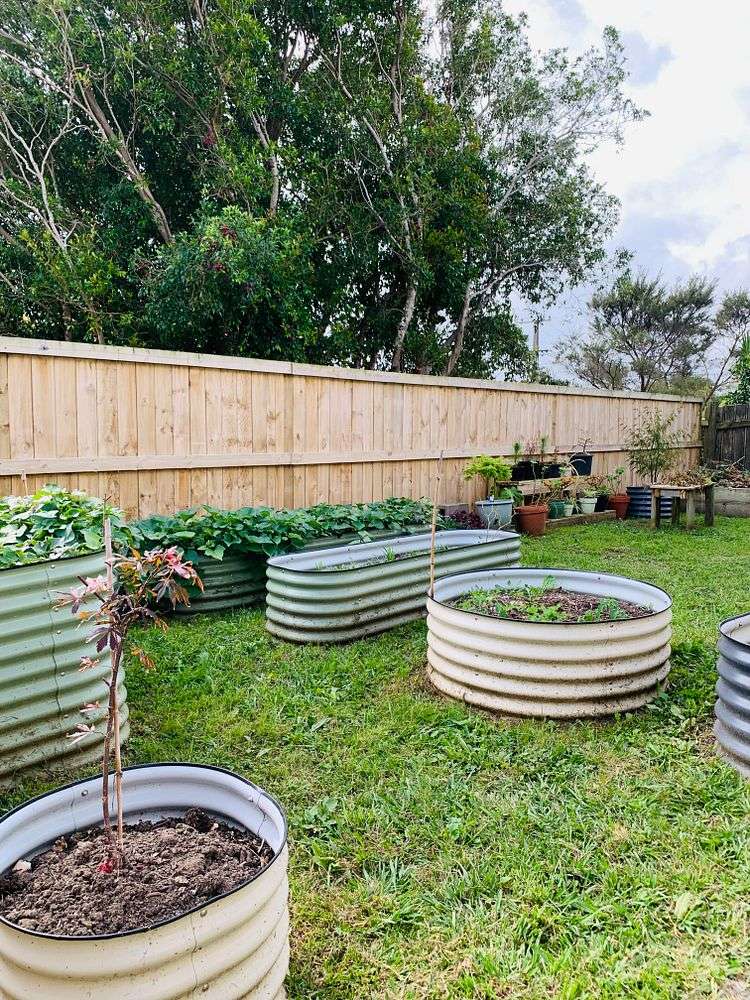 1/20 Dakota Avenue Beach Haven_23