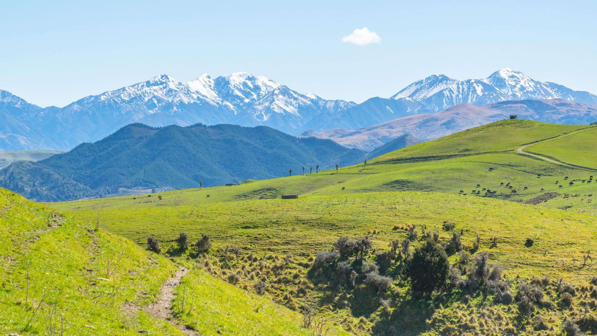 1246 Leader Road West Waiau_0