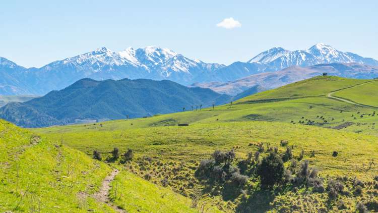 1246 Leader Road West_0