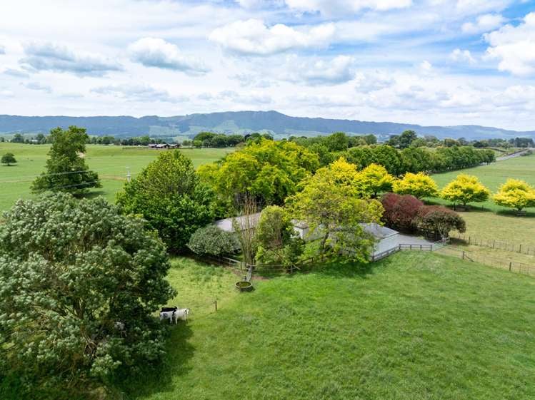 322 Tauranga Road Matamata_1