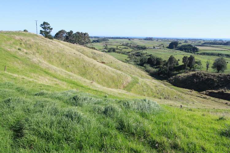 113 Stockman Road Tikorangi_7