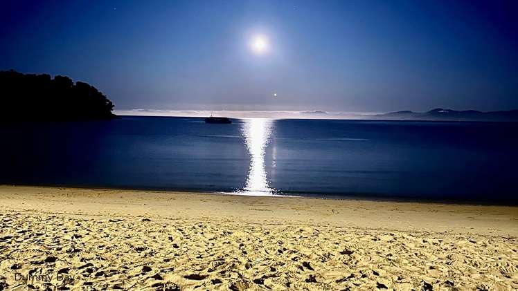 9 Fairburn Place Kaiteriteri_7