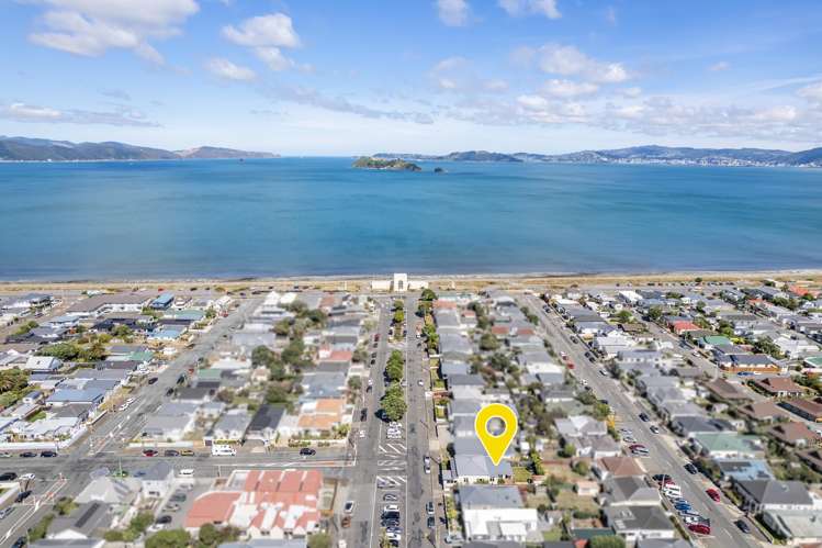 31 Buick Street Petone_29