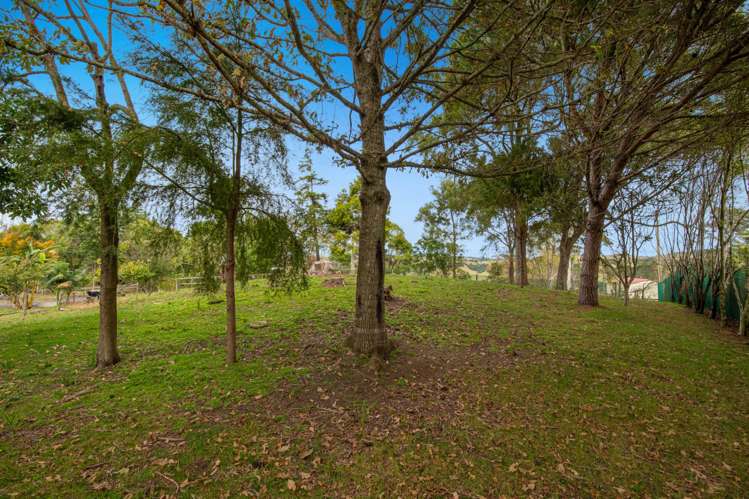 1688 South Head Road Helensville_45