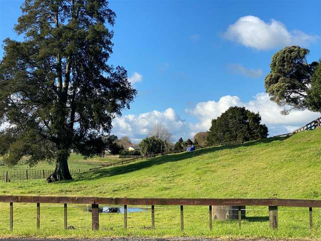 57 Butcher Road Pukekohe_3