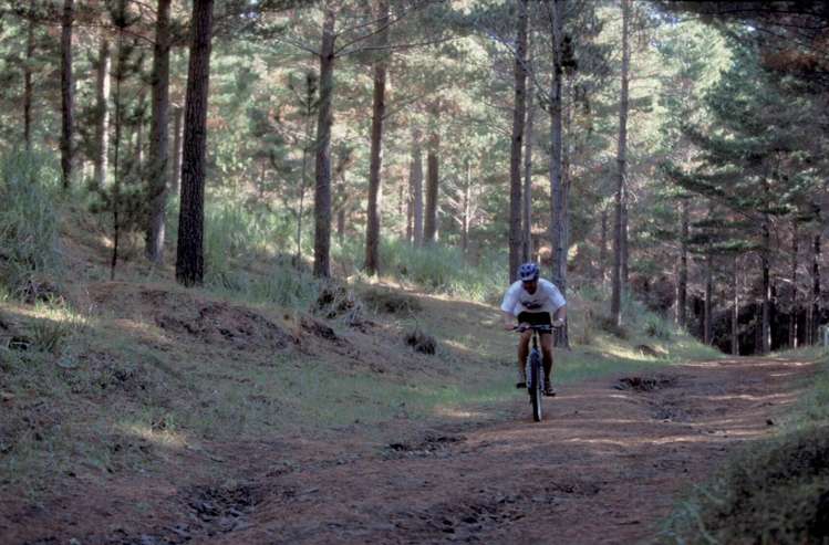 Wintour Road Waimauku_11