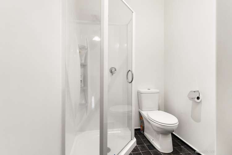 37 Palmer Street Aro Valley_11