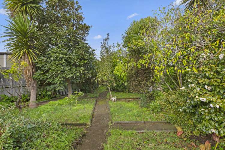 5 Simon Road Raglan_13