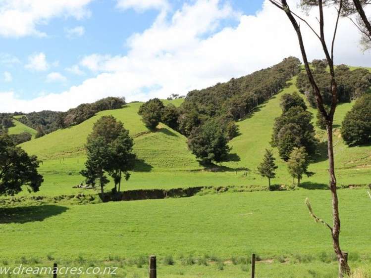 242 Owae Road Russell Surrounds_9