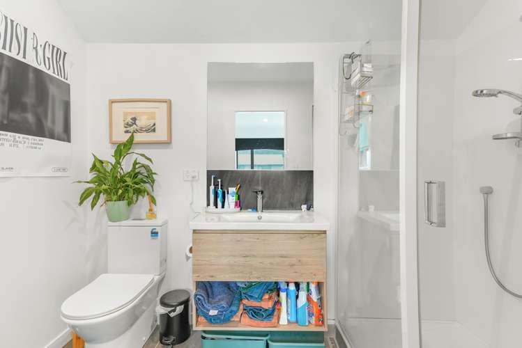 14 Te Ara O Te Amo Hohipene Petone_12