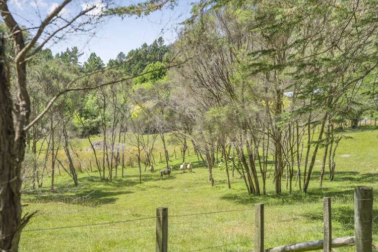 151 Moores Valley Road Wainuiomata_31