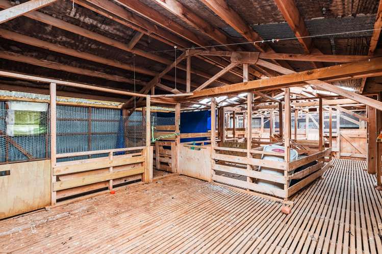 336 Puketapu Road Marotiri_8