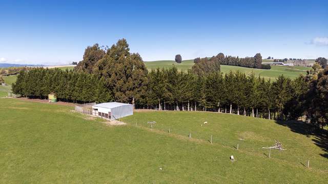 285 Clarks Flat Road Waitahuna_2