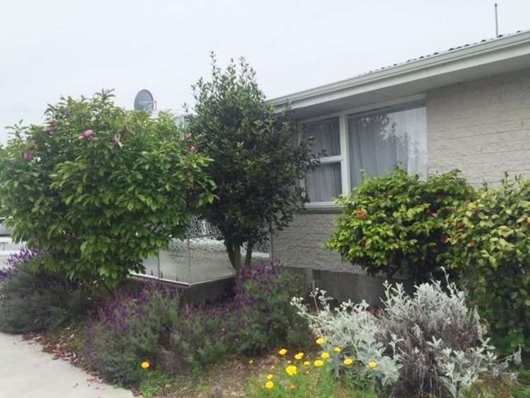 3/650 Cashel Street Linwood_8