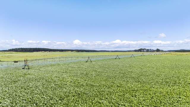 715 Santoft Road Bulls_2